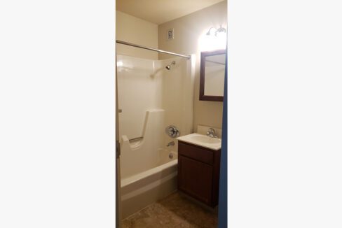 100Chenango-Bathroom01