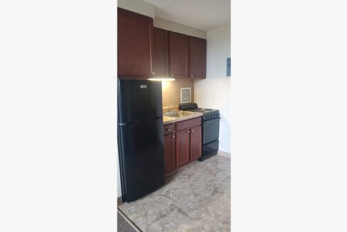 100Chenango-Kitchen02