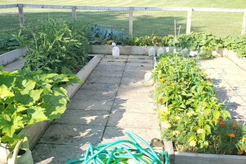 ClintonManor-Garden02