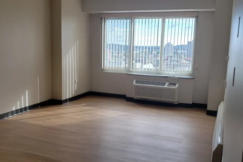 ClintonPlaza-LivingRoom04