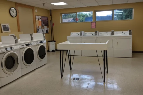 MohawkTerrace-Laundry01