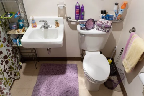 NoyesManor-Bathroom03