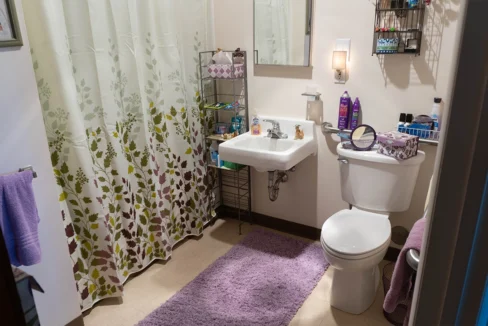 NoyesManor-Bathroom04