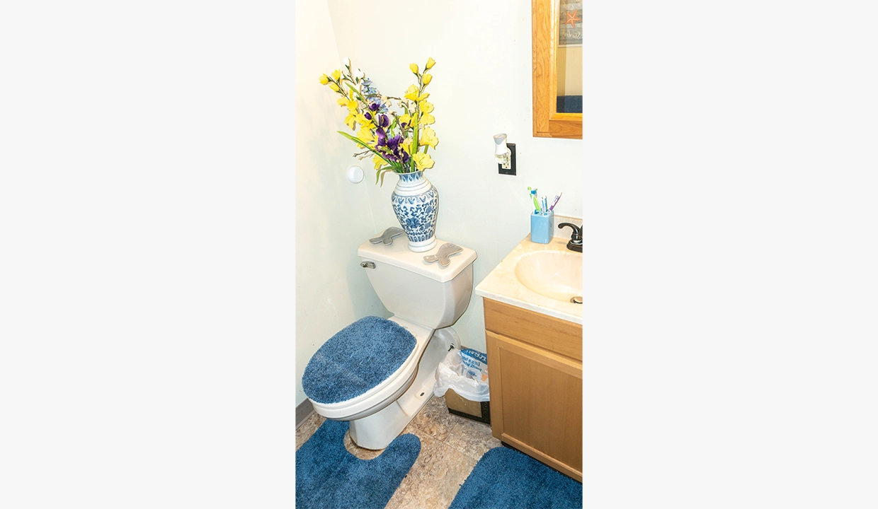 ParkDriveManorTwo-Bathroom01