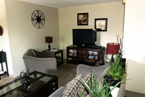 Springbrook-LivingRoom02